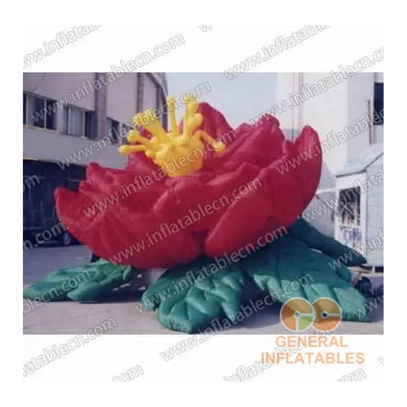 GCar-042 inflatables china manufacturer
