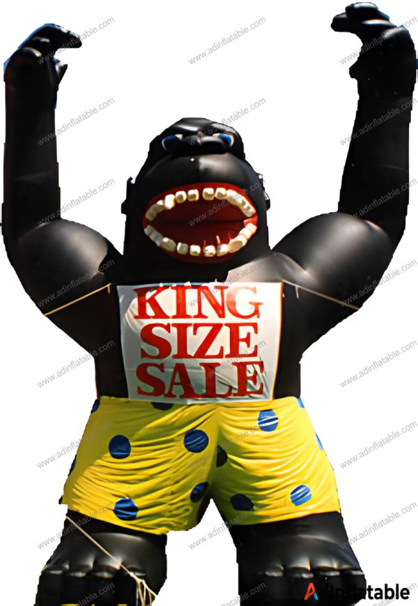 GCar-006 Inflatable Bouncers