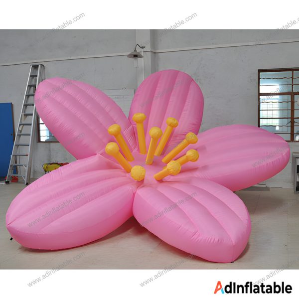 GCar-050 Pink Blossom Cartoon