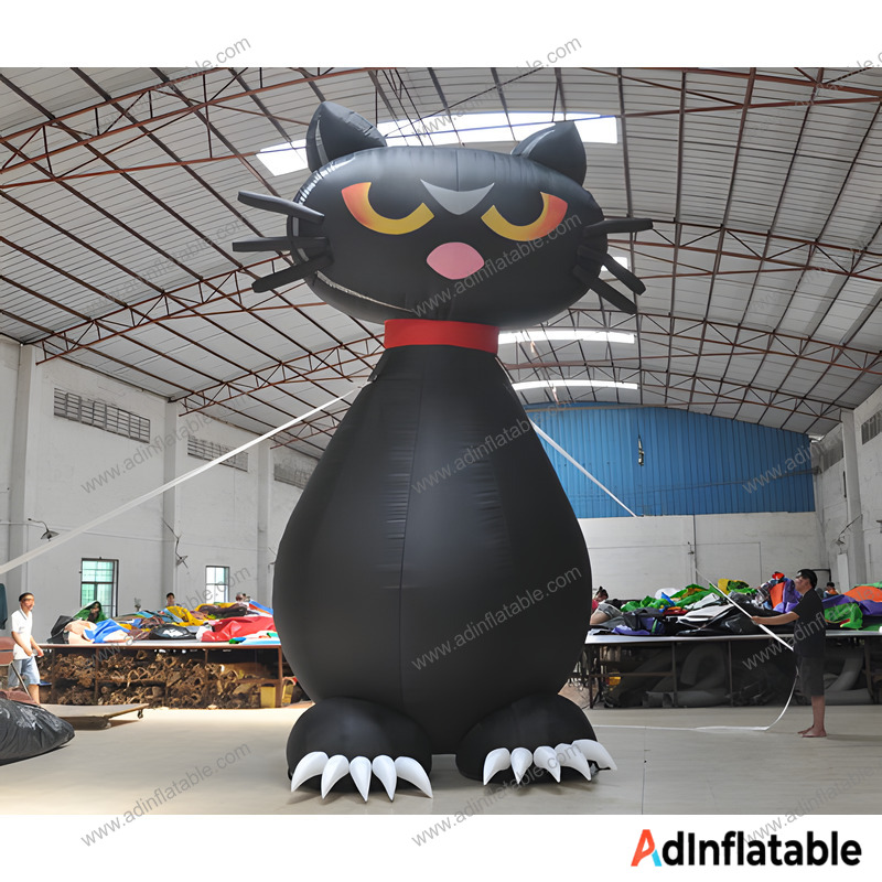GCar-057 Inflatable Black Cat