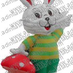 GCar-016 Rabbit Cartoon