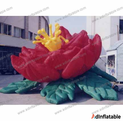 GCar-042 Red Flower Cartoon