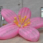 GCar-050 Pink Blossom Cartoon