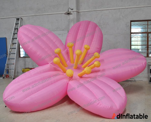 GCar-050 Pink Blossom Cartoon